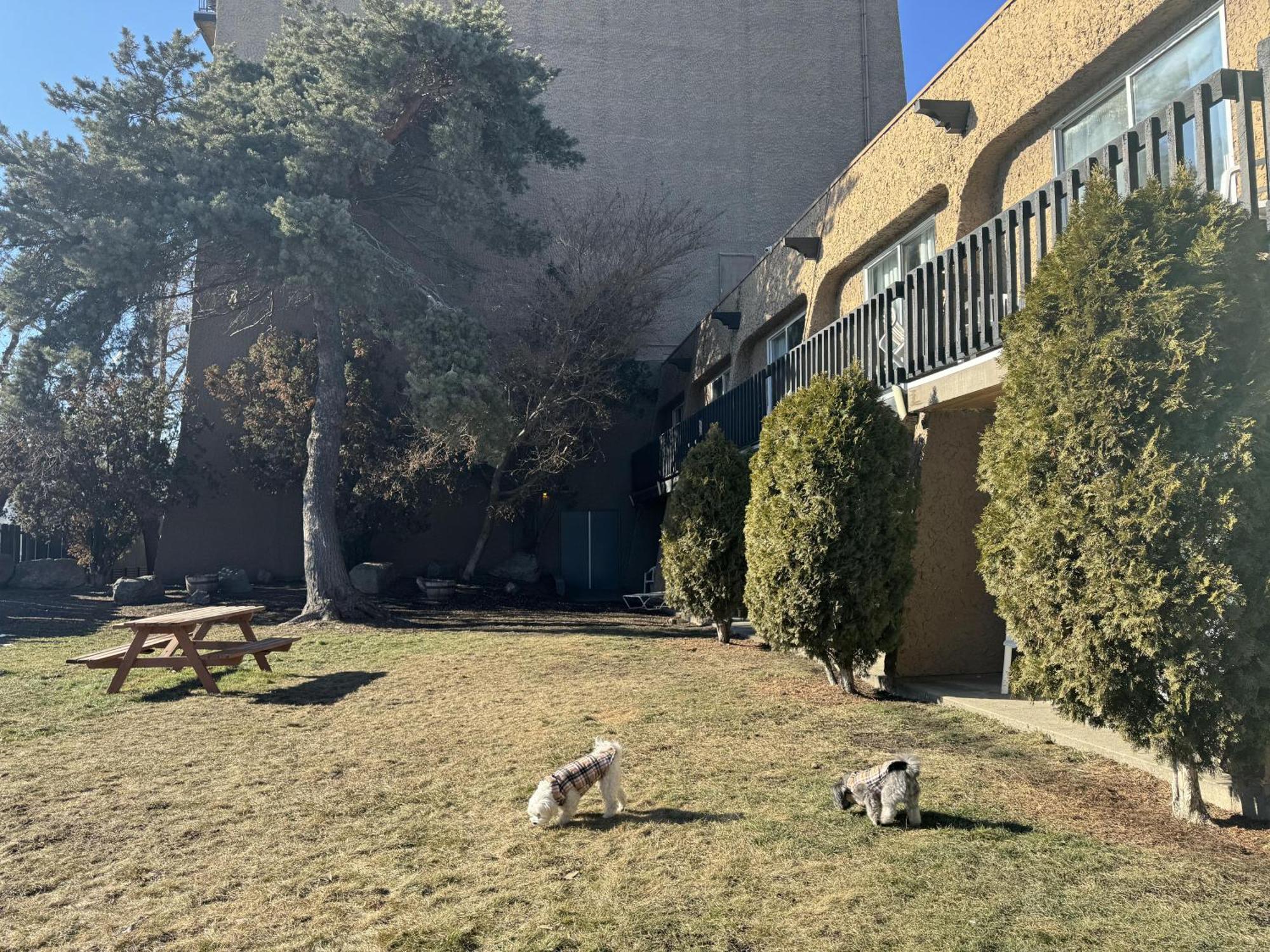 Divya Sutra Plaza And Conference Centre, Vernon, Bc المظهر الخارجي الصورة